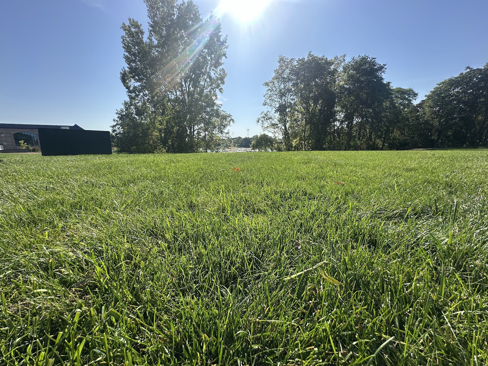 Cornerstone University Disc Golf Course in Grand Rapids