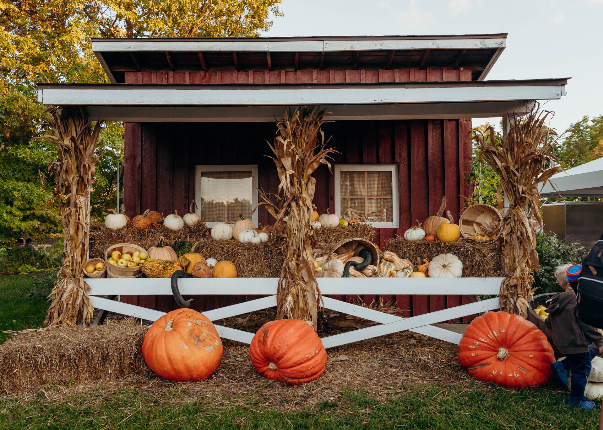 Autumn Weekends at Meijer Gardens