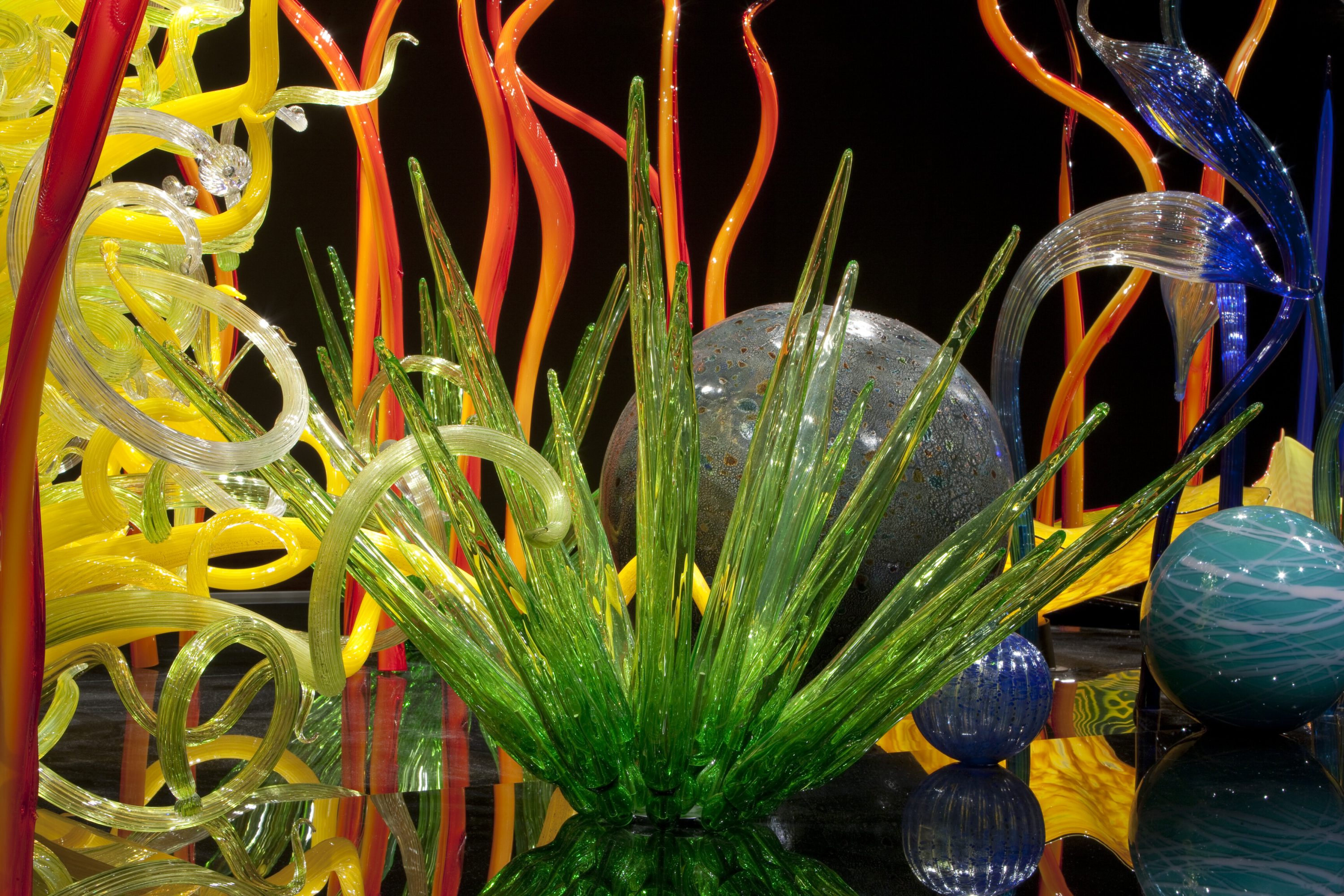 CHIHULY: Radiant Forms