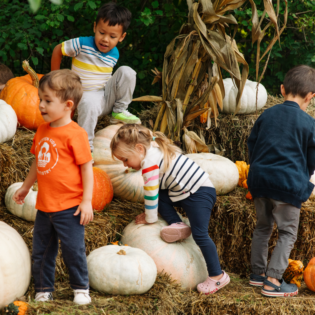 Michigan’s Farm Garden Autumn Family Activities