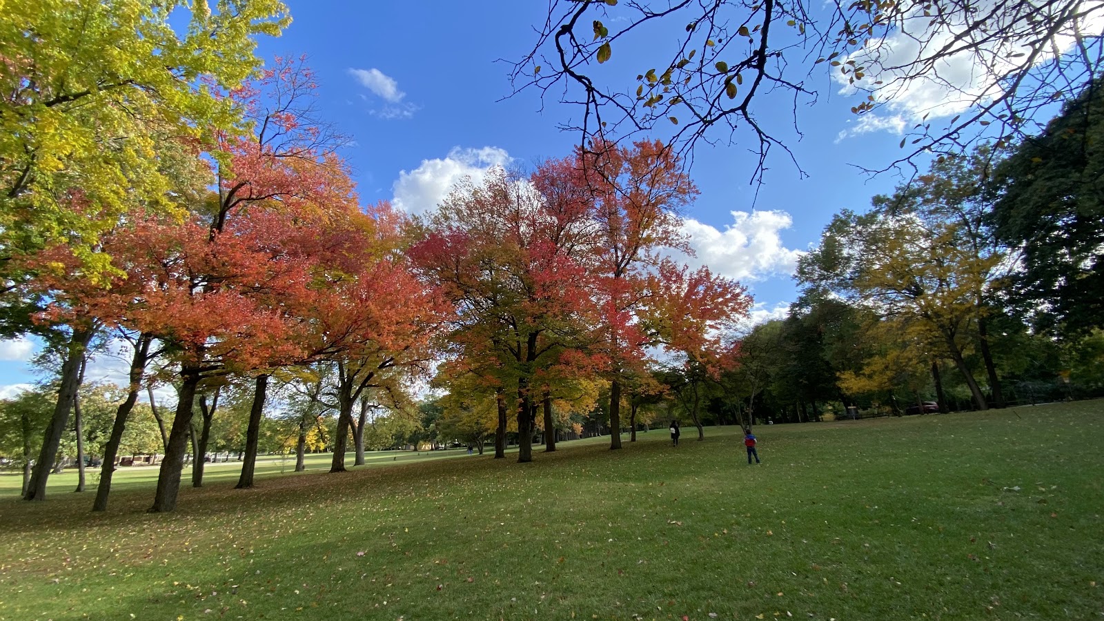 Garfield Park in Grand Rapids