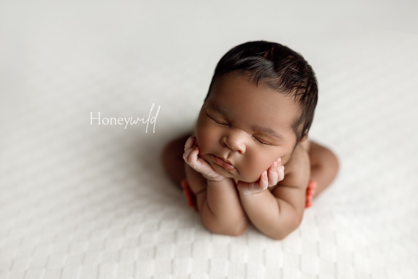 Honeywild Photography in Grand Rapids