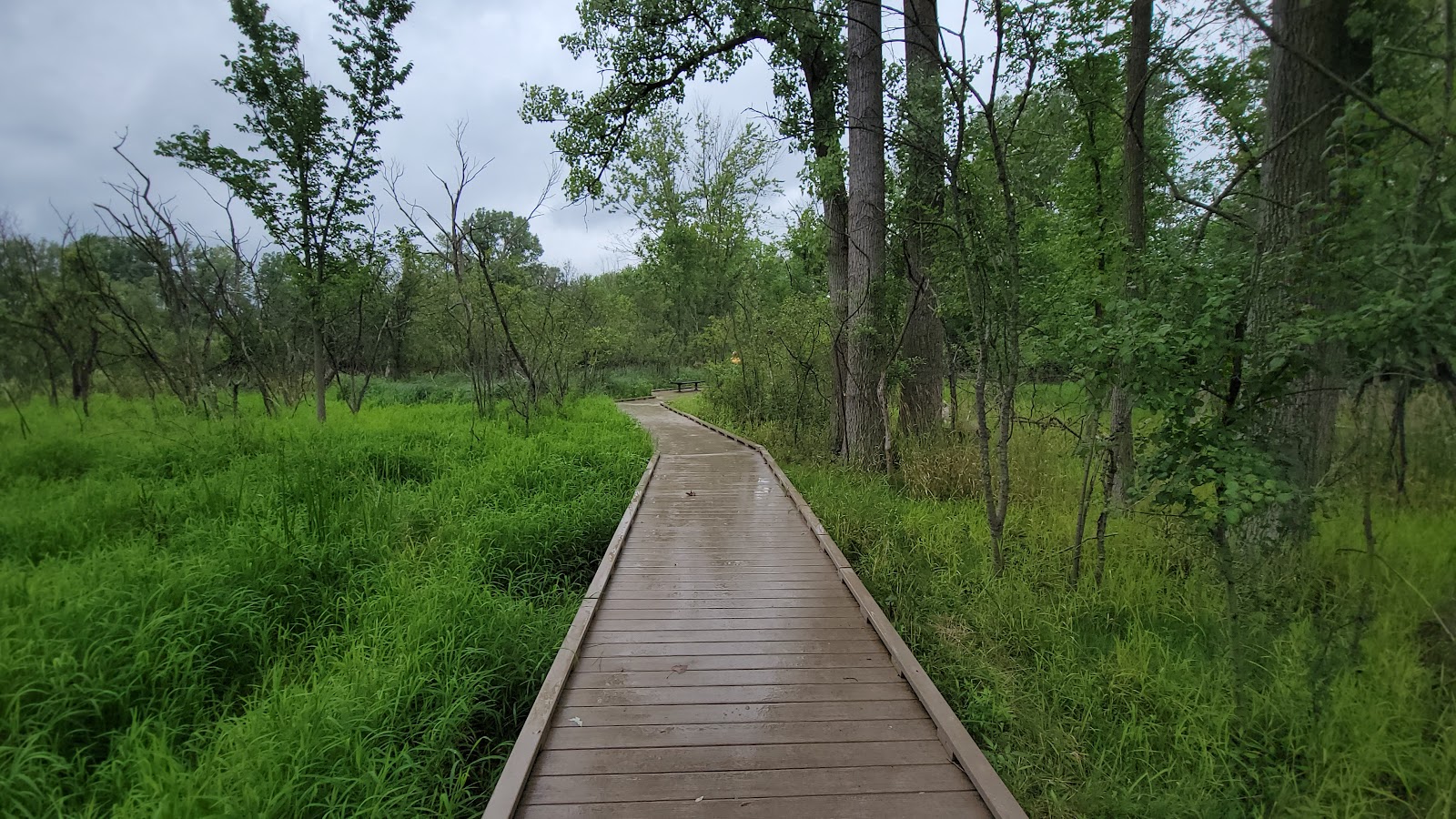 Huff Park in Grand Rapids