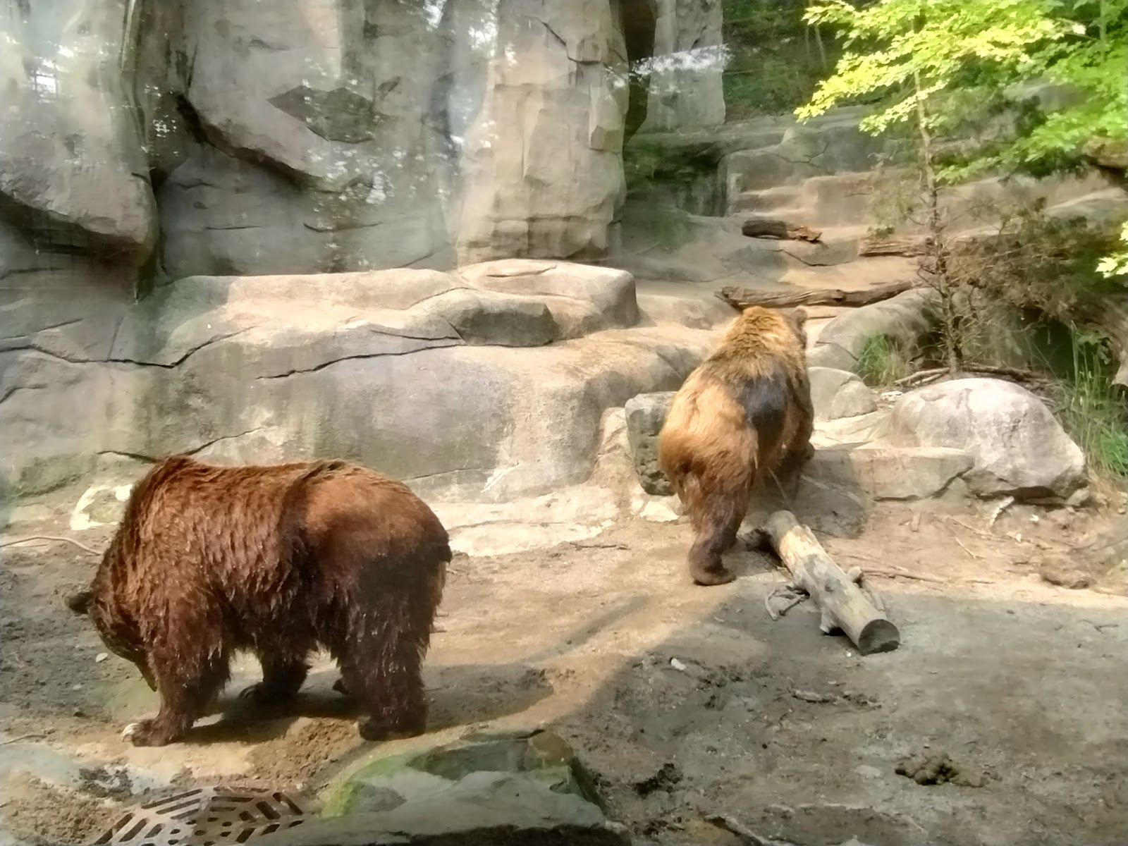 John Ball Zoo in Grand Rapids