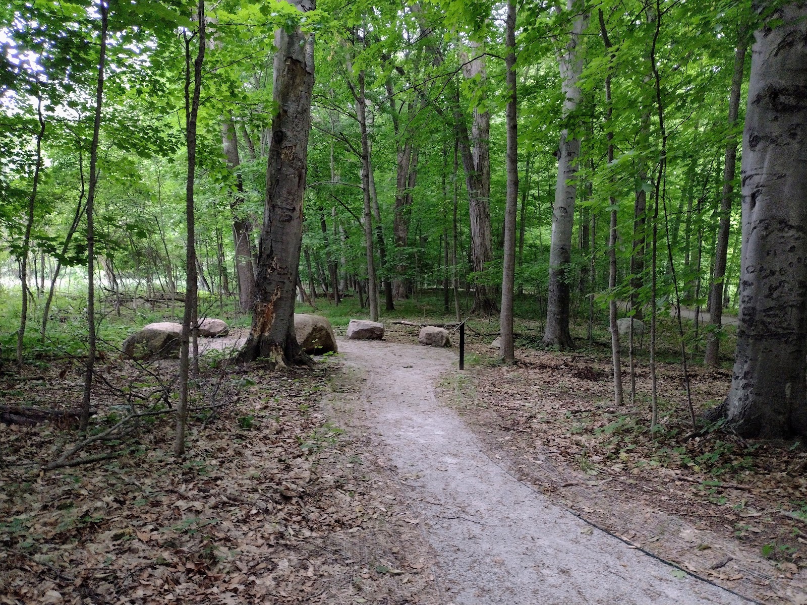 Ken-O-Sha Park in Grand Rapids