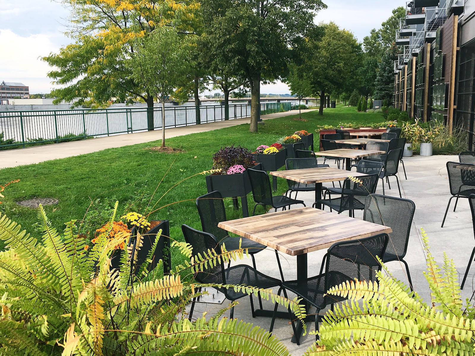 Linear Restaurant in Grand Rapids