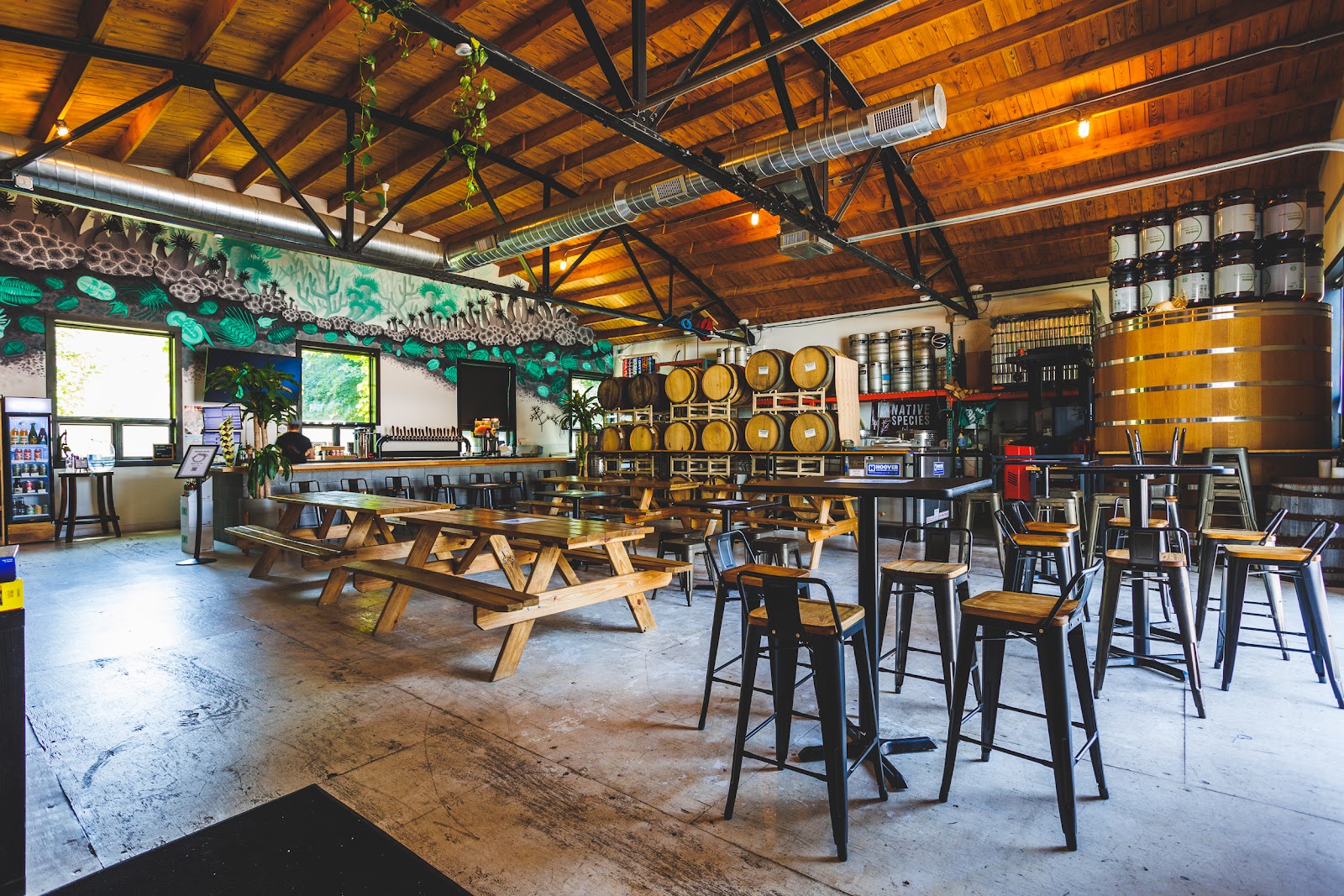 Speciation Cellars — photo