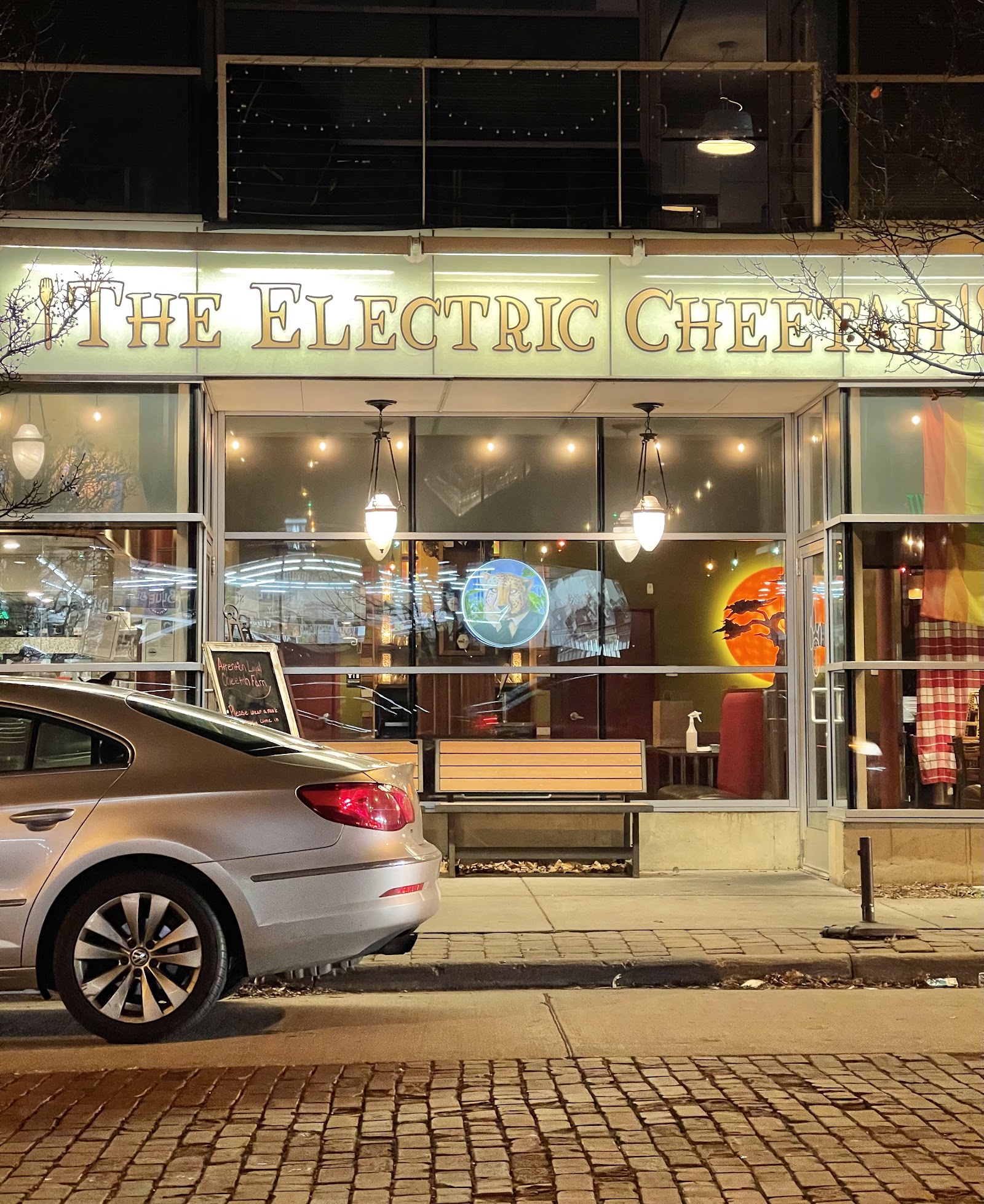 The Electric Cheetah — photo
