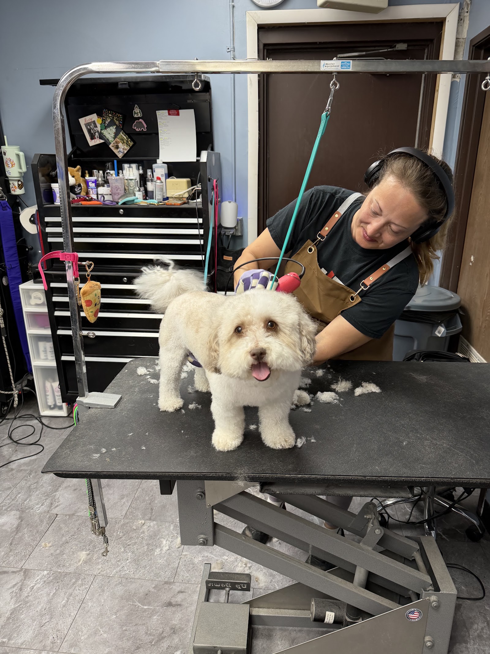 VIP Grooming Salon — photo