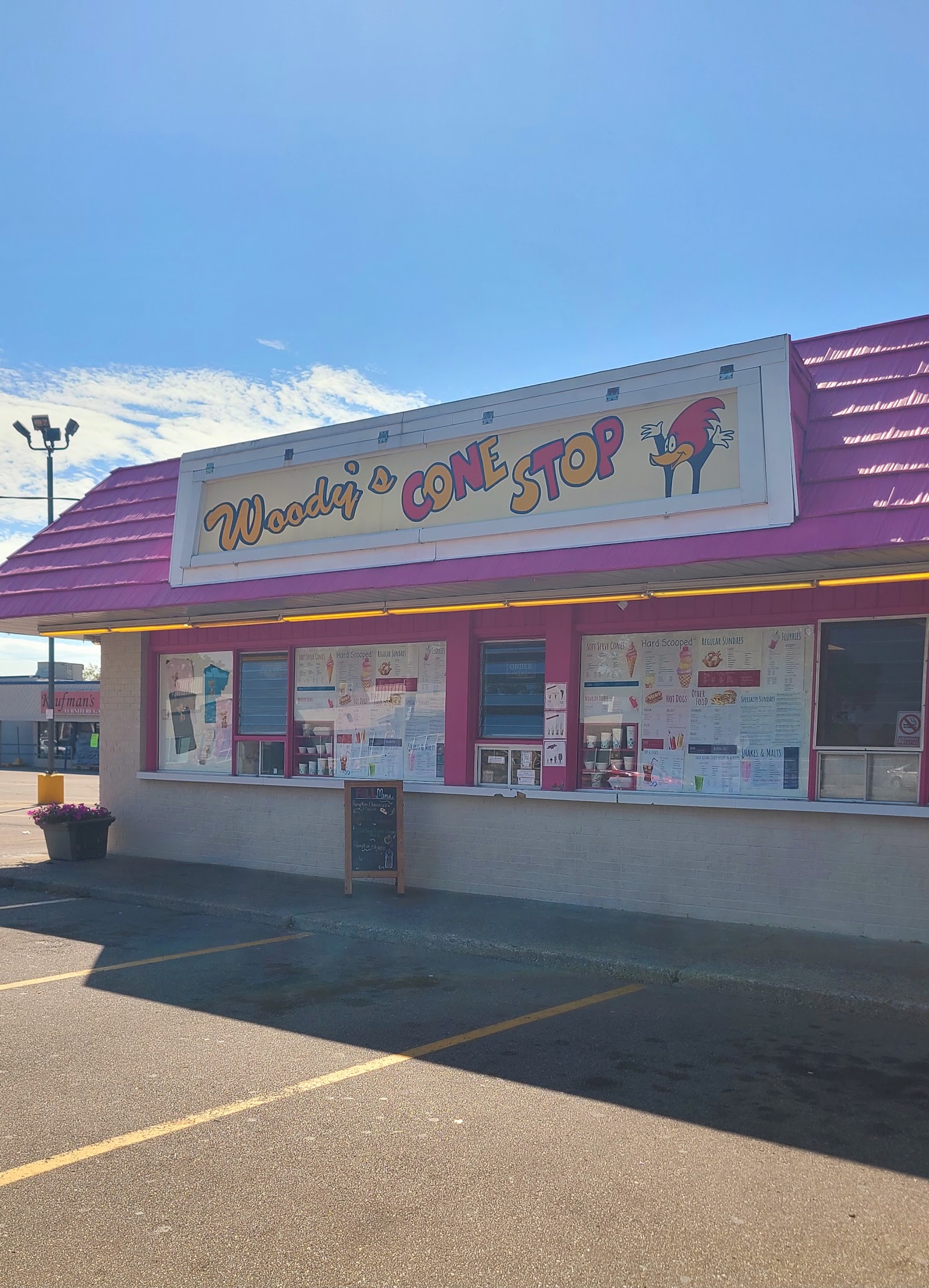 Woody's Cone Stop — photo